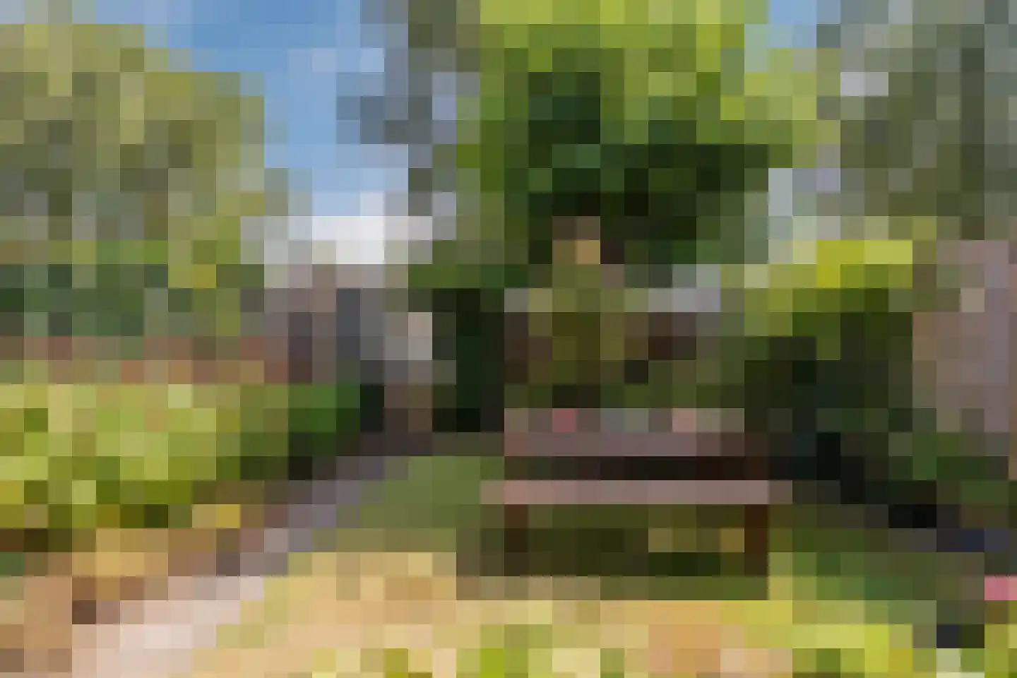 Gondellaan 32 Zaandam thumbnail 37