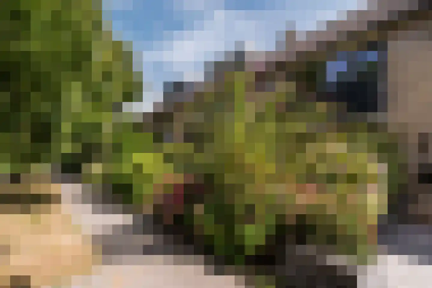 Gondellaan 32 Zaandam thumbnail 8