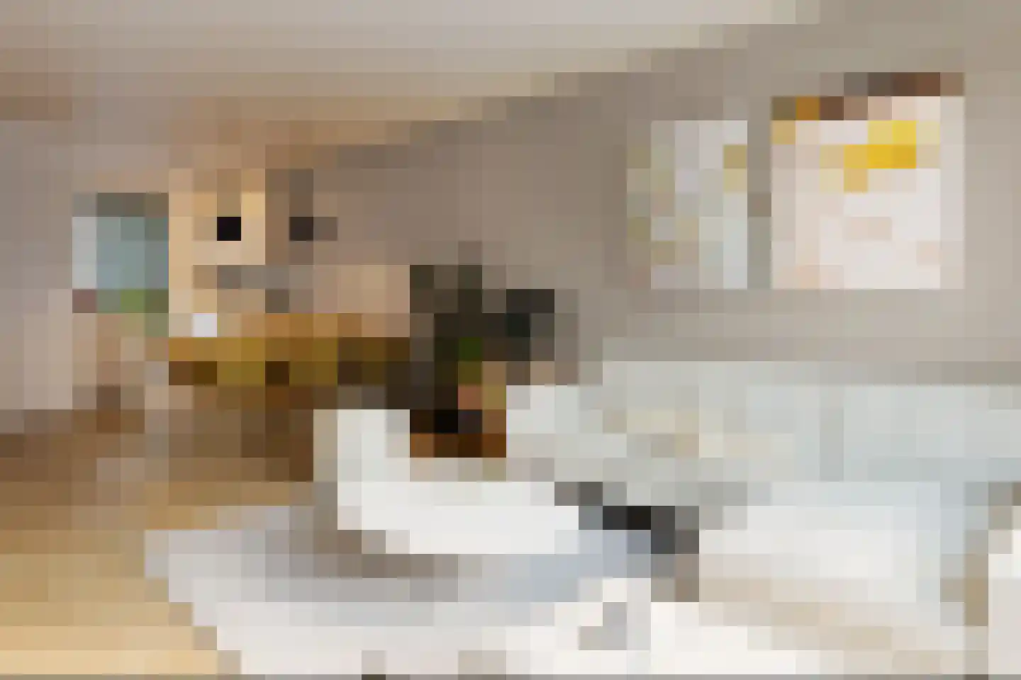 Gondelstraat 10 Tilburg thumbnail 10
