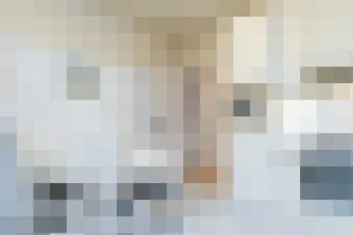 Gondulphusstraat 11 Berg en Terblijt thumbnail 16