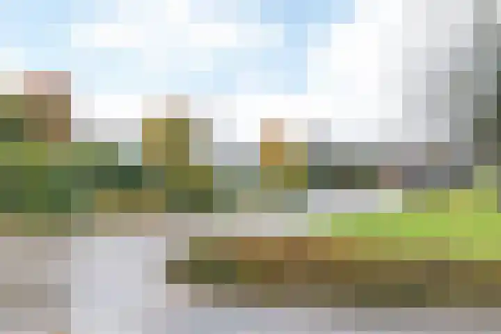 Gondulphusstraat 11 Berg en Terblijt thumbnail 29