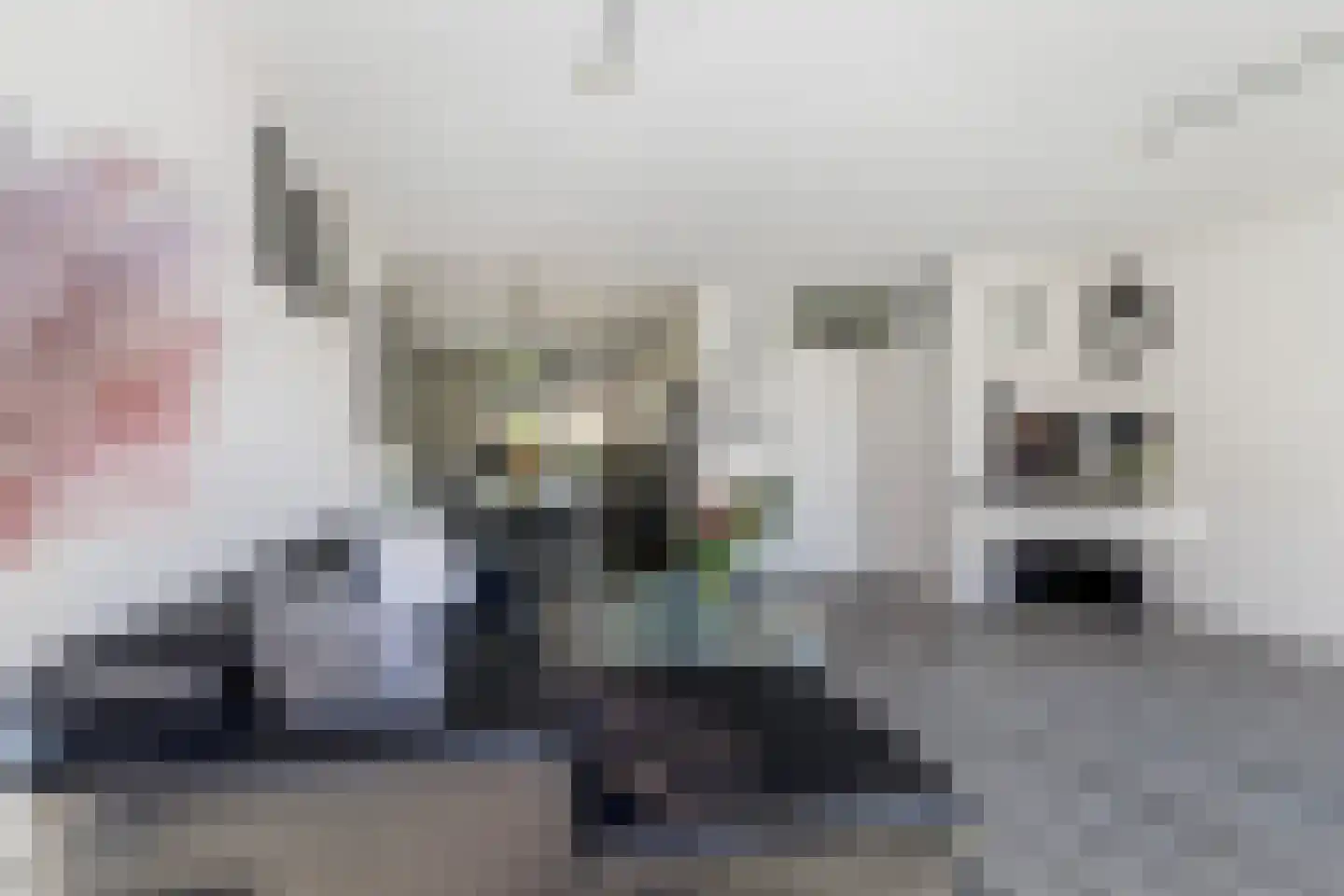 Gong 33 Rotterdam thumbnail 18