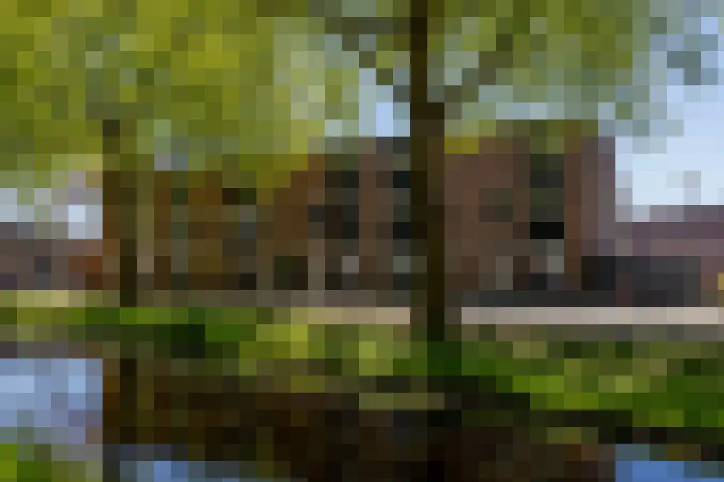 Gong 33 Rotterdam thumbnail 46