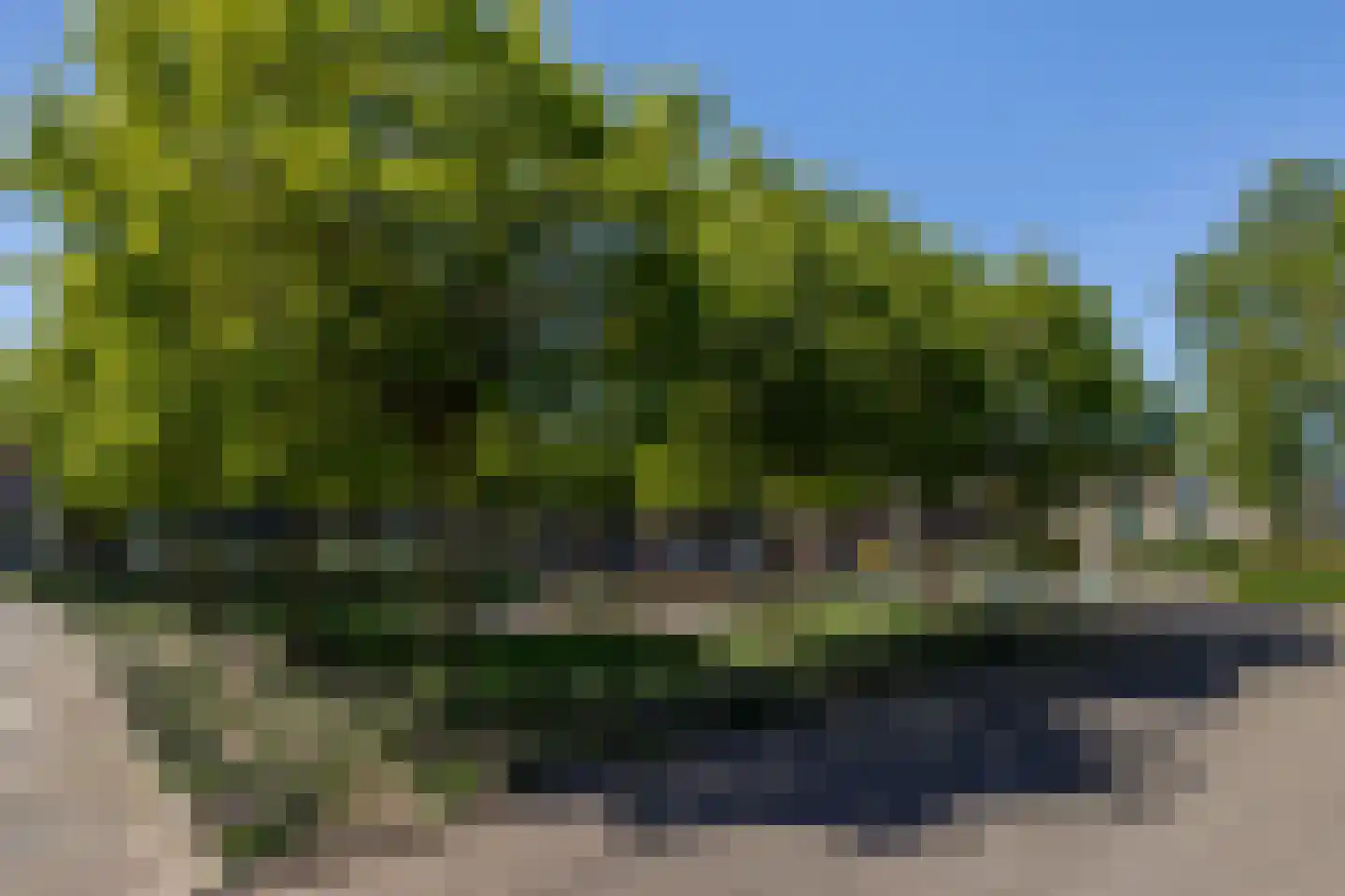 Gong 33 Rotterdam thumbnail 48
