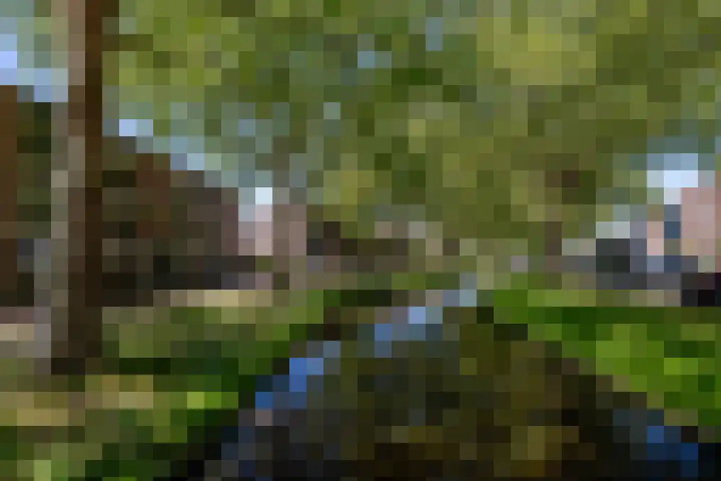 Gong 33 Rotterdam thumbnail 6