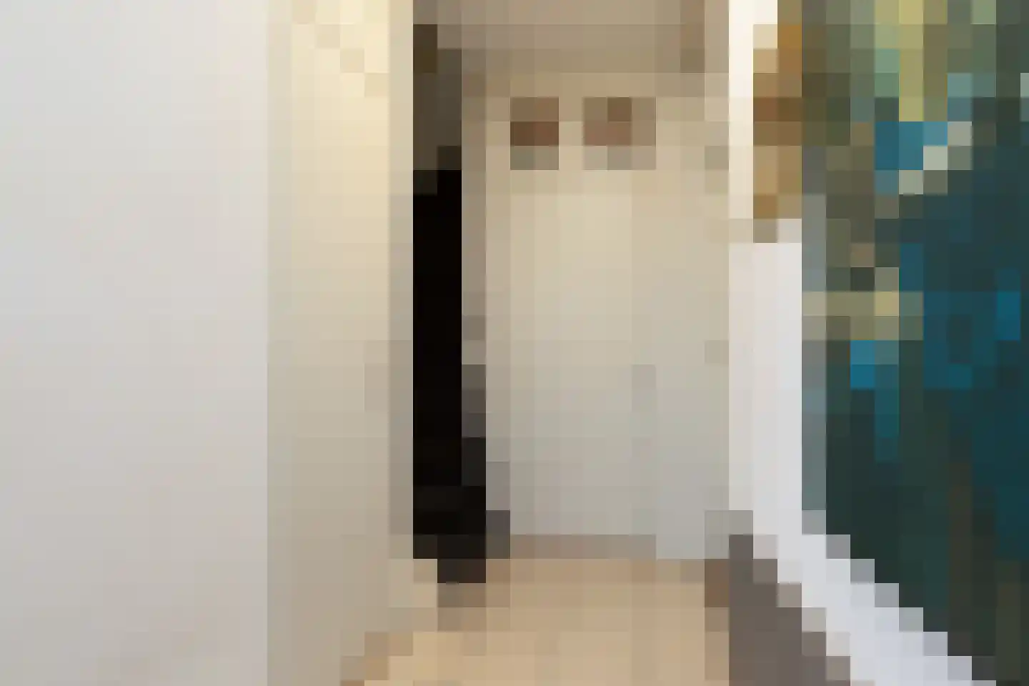 Gonggrijpstraat 46 Sneek thumbnail 13