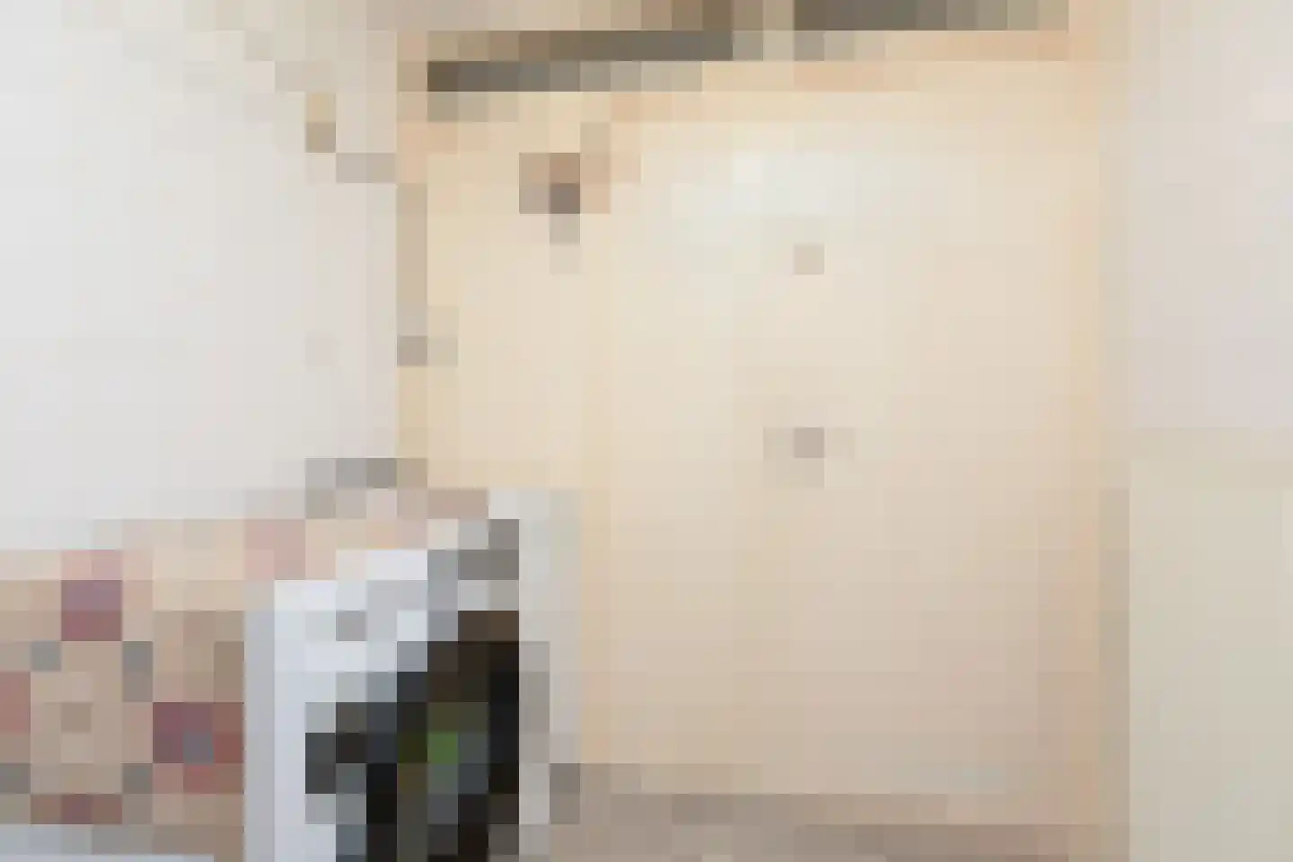Gonggrijpstraat 46 Sneek thumbnail 21