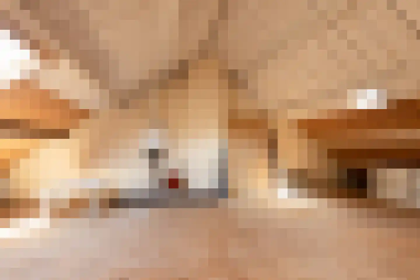 Gonggrijpstraat 46 Sneek thumbnail 27