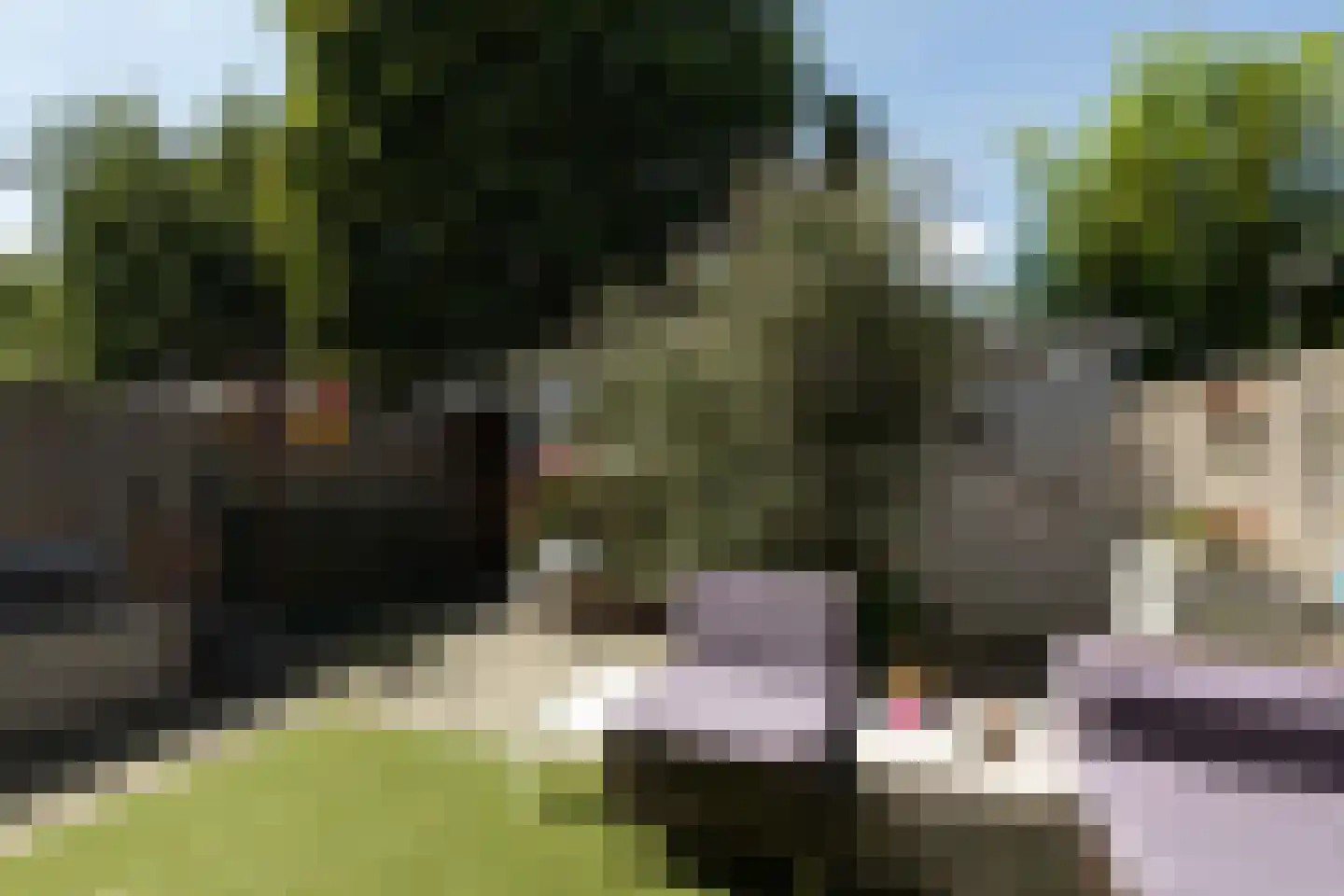 Gonggrijpstraat 46 Sneek thumbnail 29