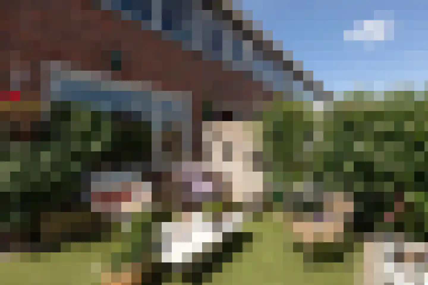 Gonggrijpstraat 46 Sneek thumbnail 33