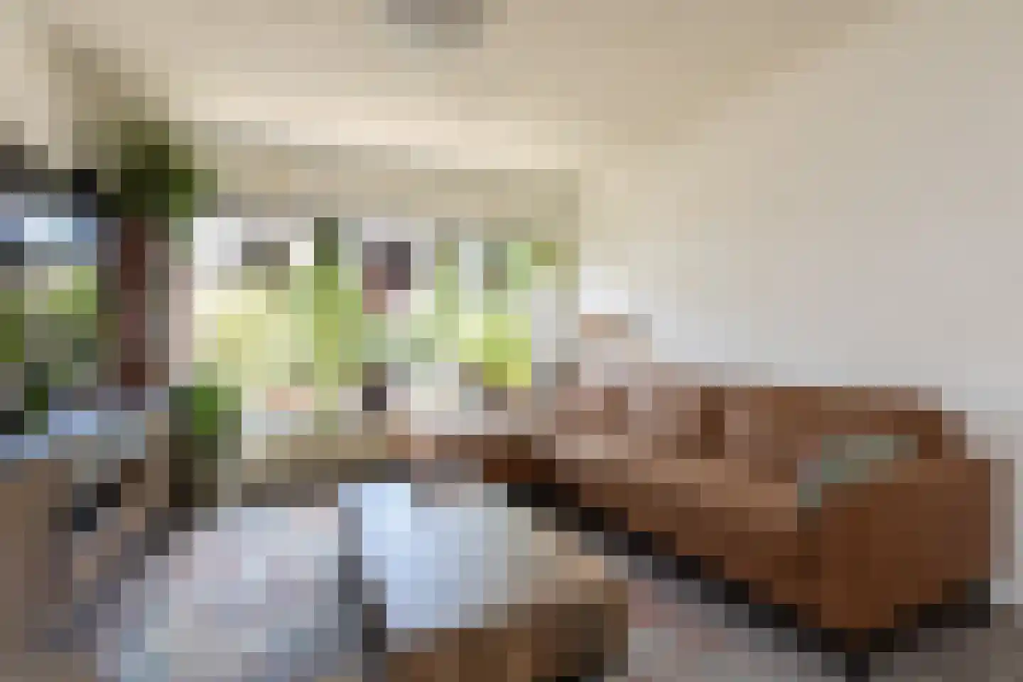 Gonggrijpstraat 46 Sneek thumbnail 6