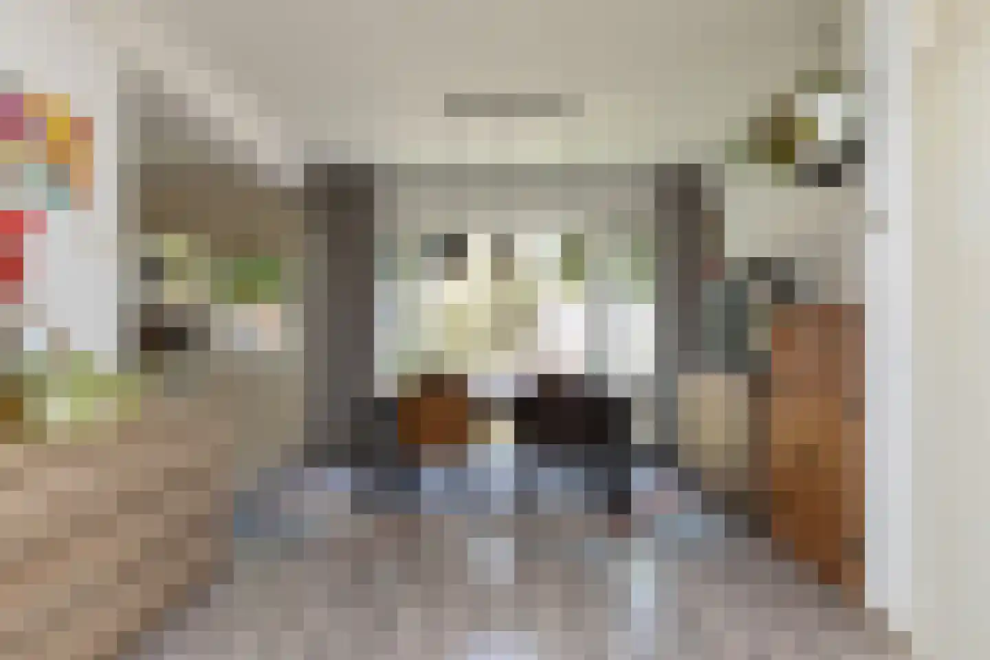 Gonggrijpstraat 46 Sneek thumbnail 9