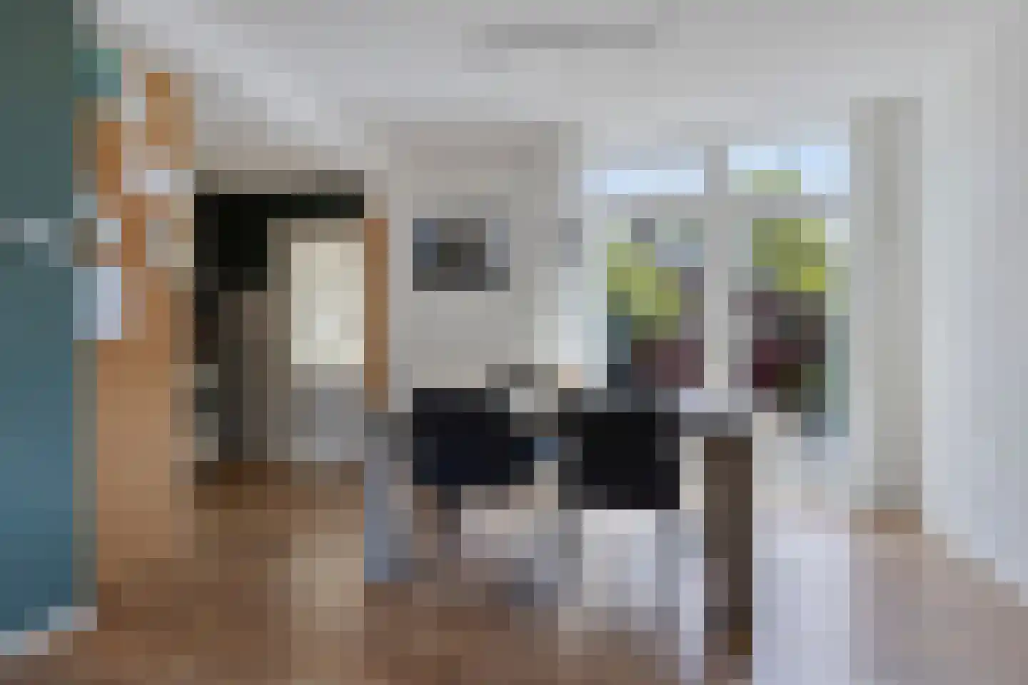 Gonggrijpstraat 55 Sneek thumbnail 12