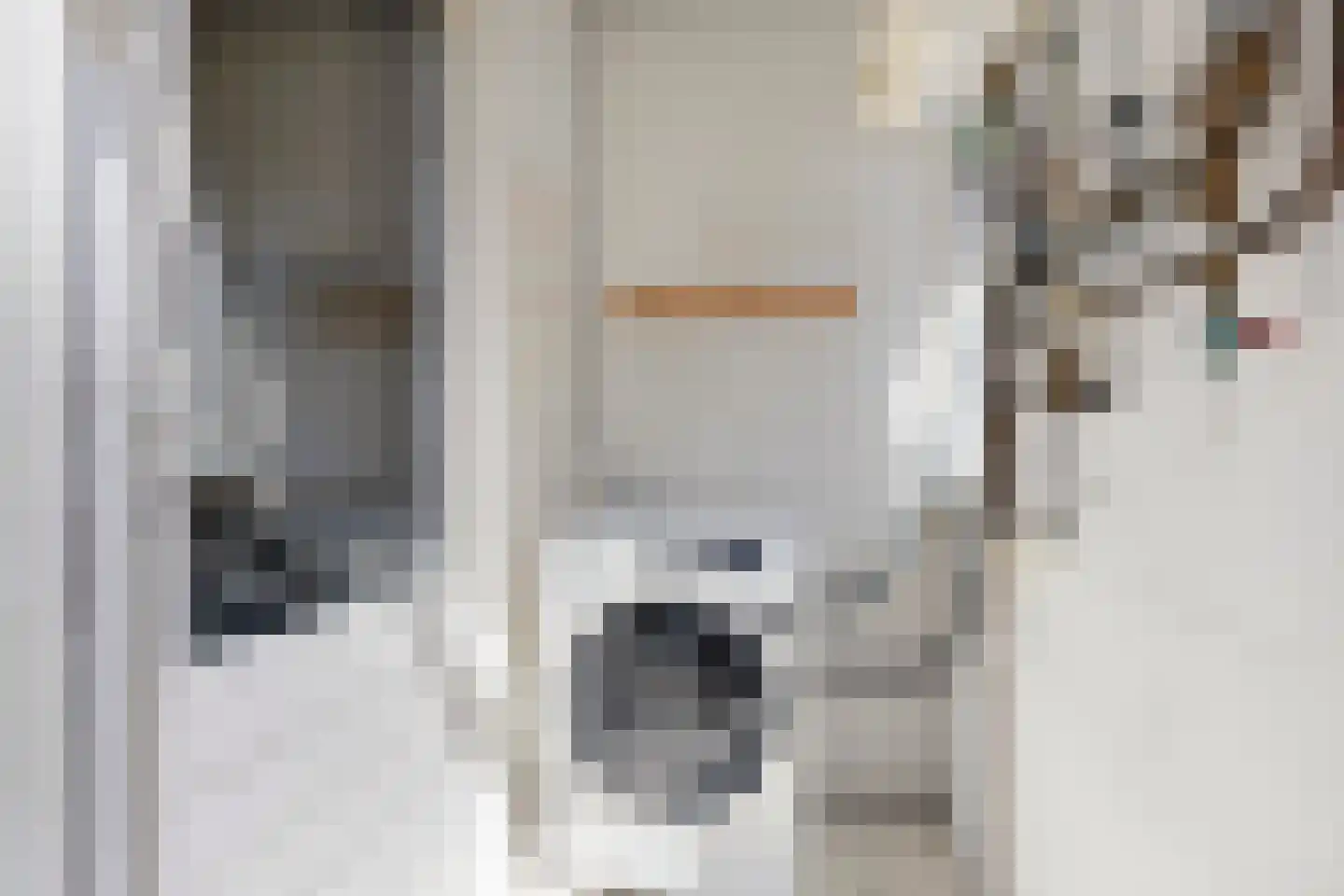Gonggrijpstraat 55 Sneek thumbnail 14