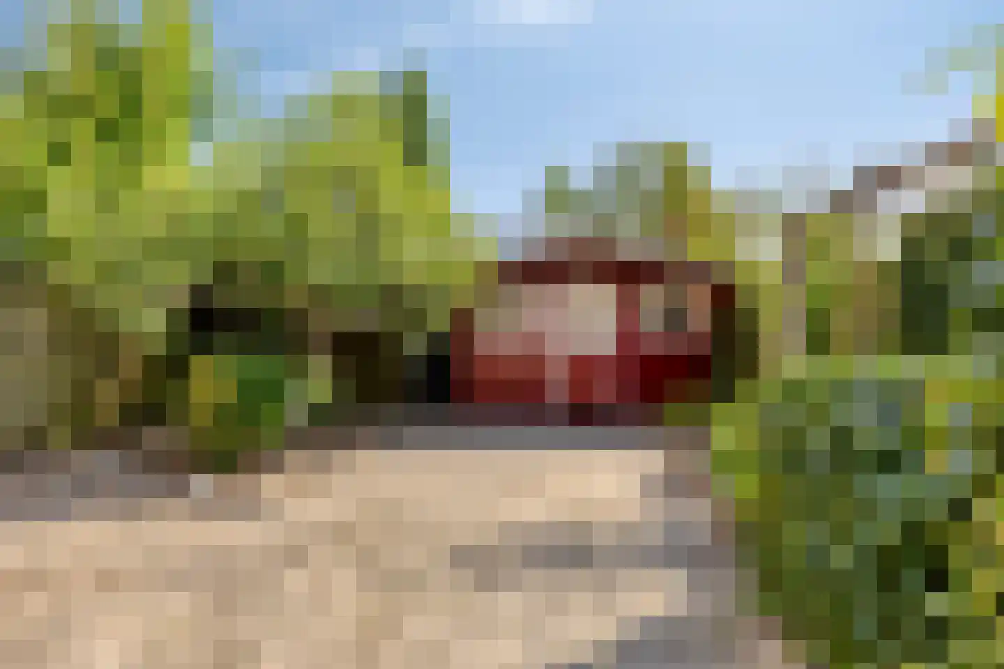 Gonggrijpstraat 55 Sneek thumbnail 23