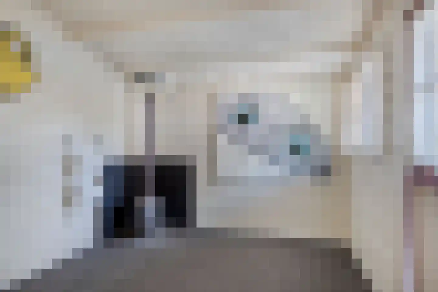 Gonggrijpstraat 55 Sneek thumbnail 24