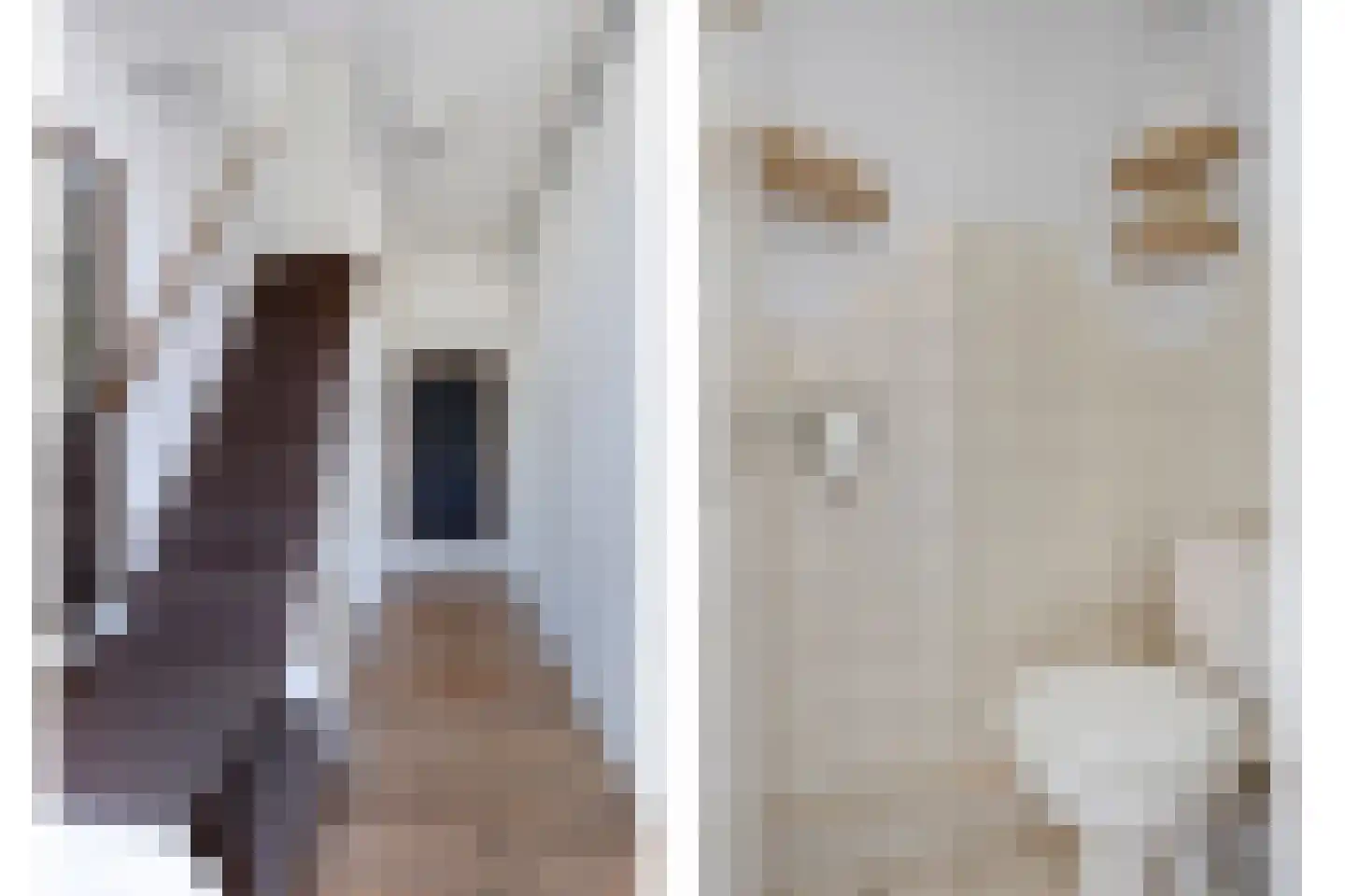 Gonggrijpstraat 55 Sneek thumbnail 9