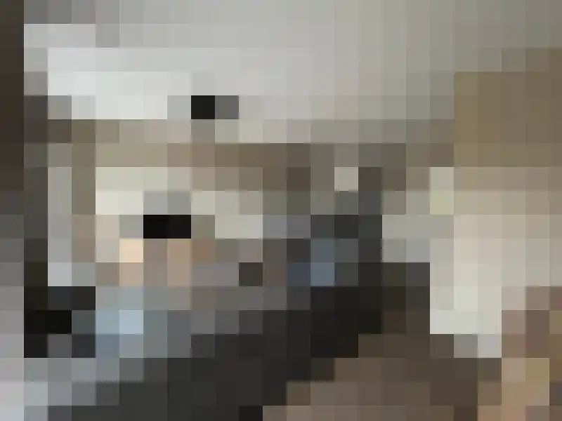 Gonnenhof 8 Venlo thumbnail 8