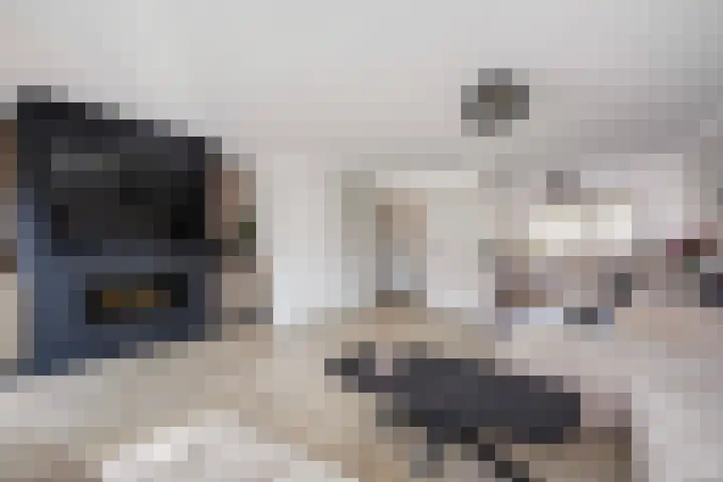 Gonzagaruimte 36 Zoetermeer thumbnail 10
