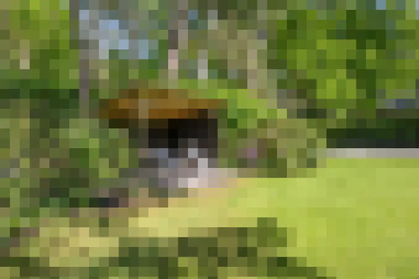 Goodeslaan 24 Heiloo thumbnail 14