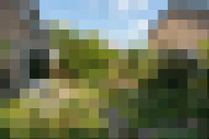 Goodeslaan 24 Heiloo thumbnail 28