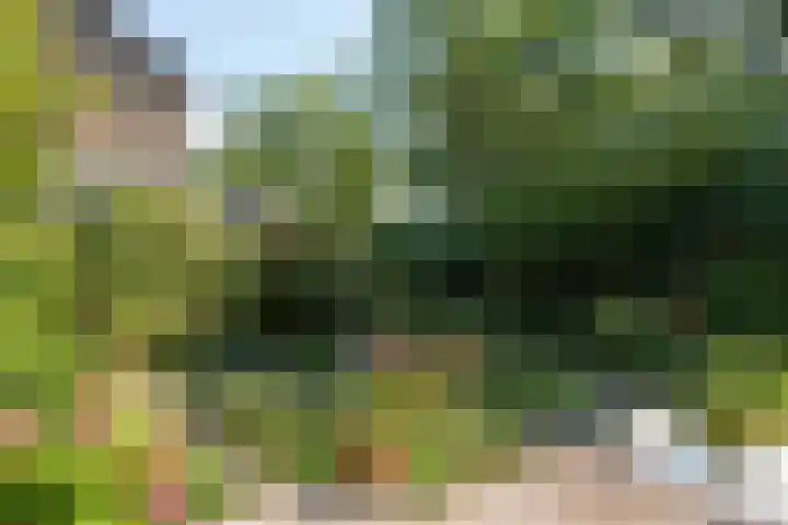 Goodeslaan 24 Heiloo thumbnail 29
