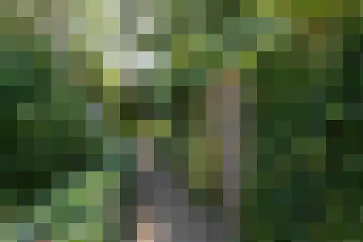 Goodeslaan 24 Heiloo thumbnail 32