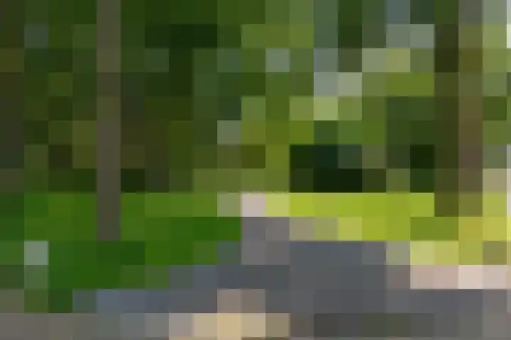 Goodeslaan 24 Heiloo thumbnail 34