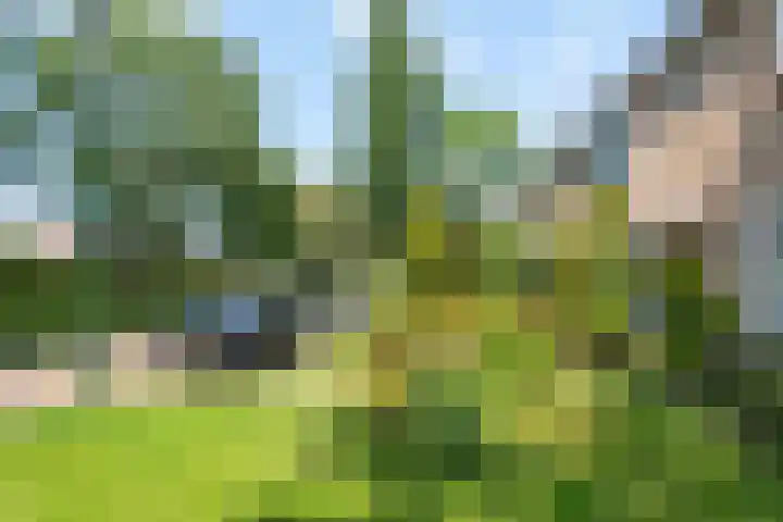 Goodeslaan 24 Heiloo thumbnail 37