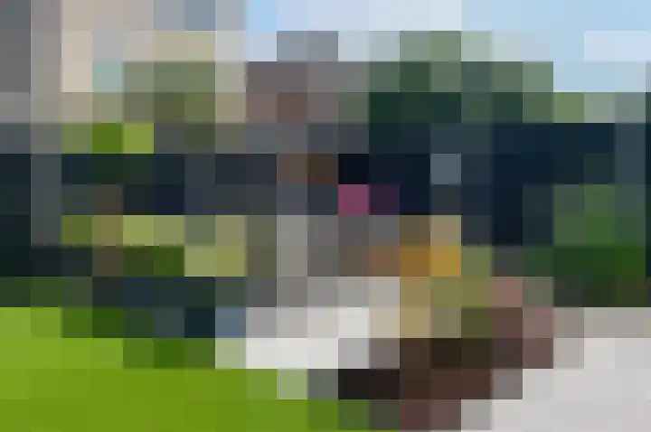 Goofystraat 10 Almere thumbnail 30