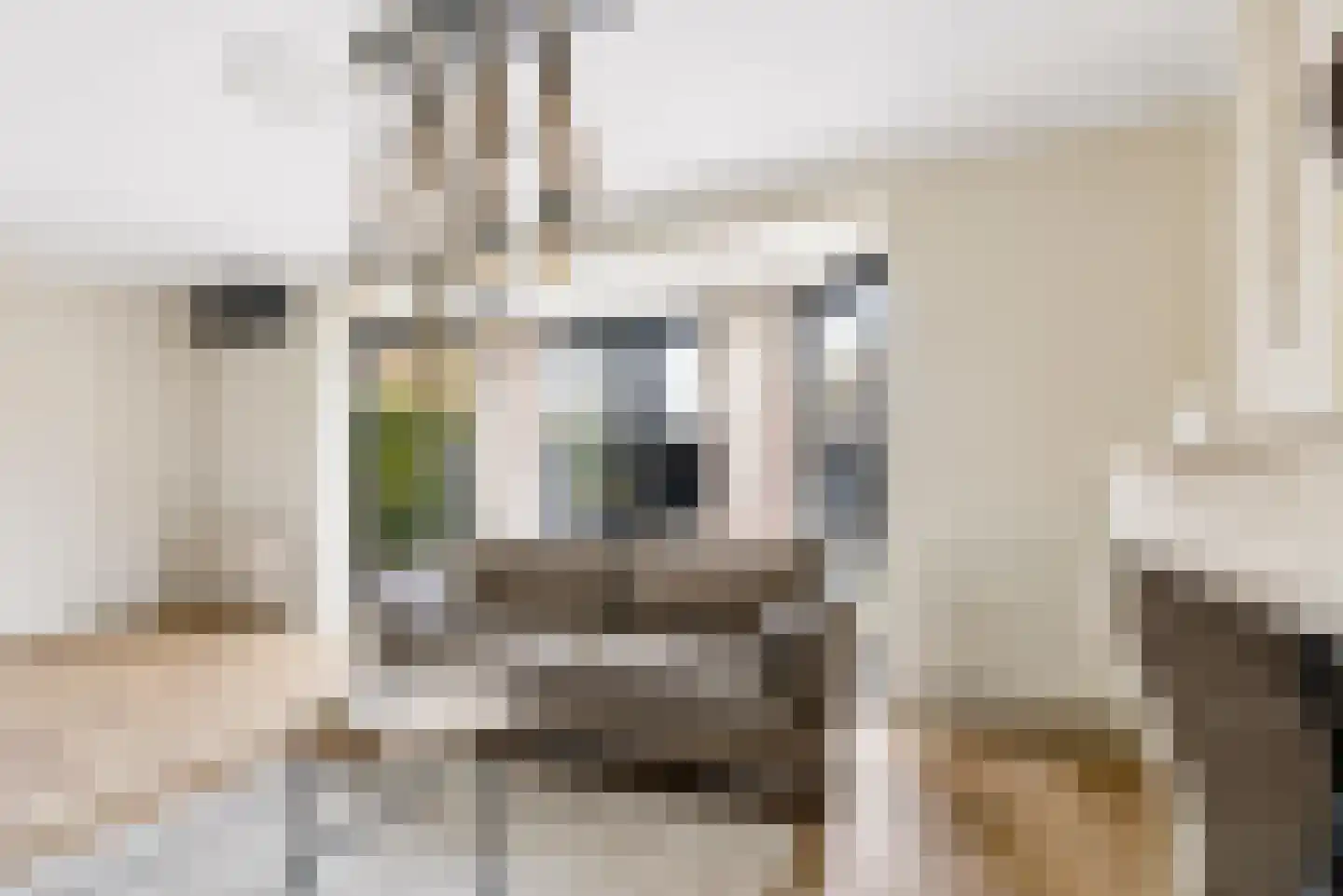 Goofystraat 12 Almere thumbnail 10