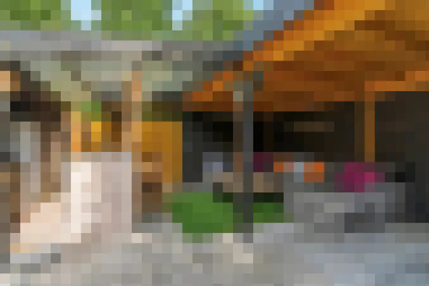 Goofystraat 12 Almere thumbnail 37