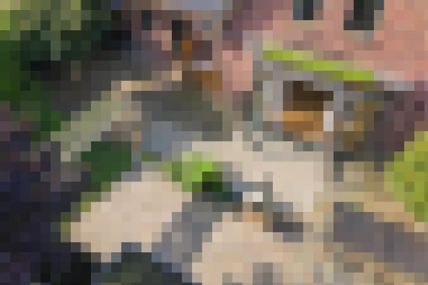 Goofystraat 12 Almere thumbnail 42