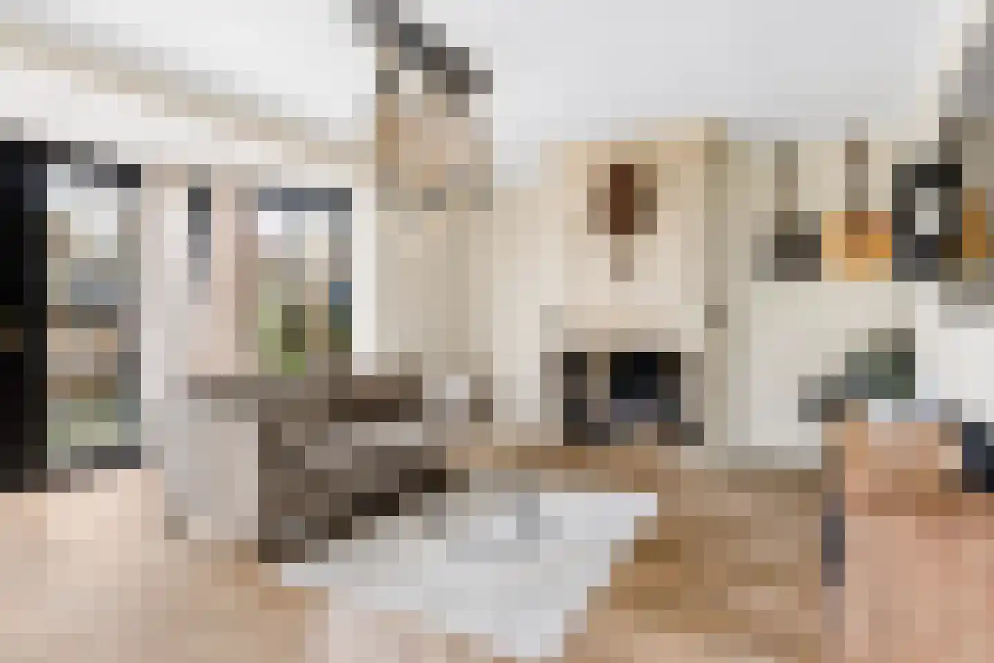 Goofystraat 12 Almere thumbnail 7