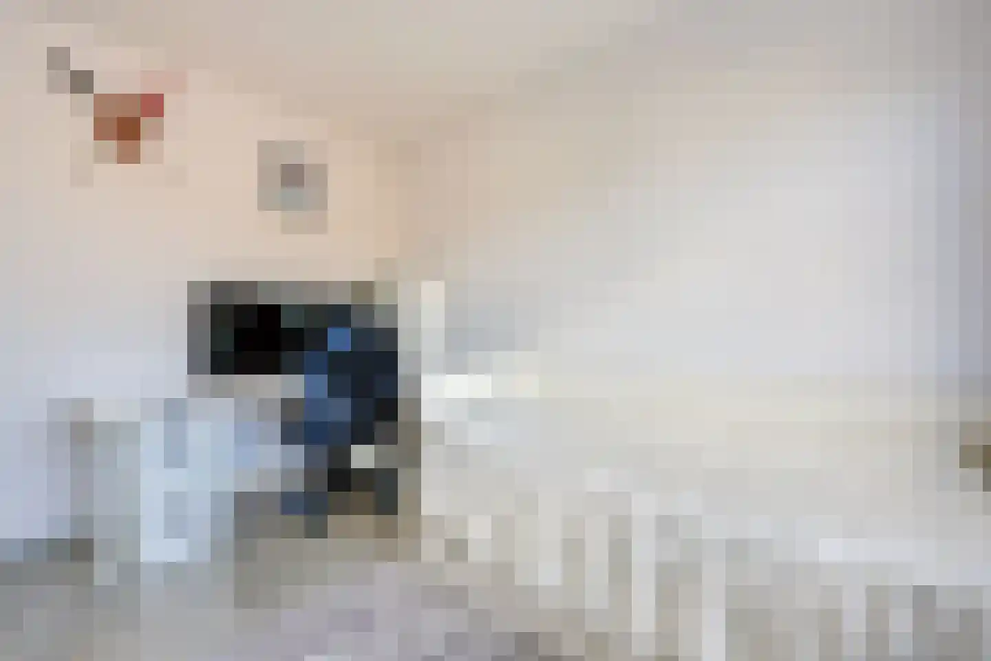 Goofystraat 6 Almere thumbnail 33