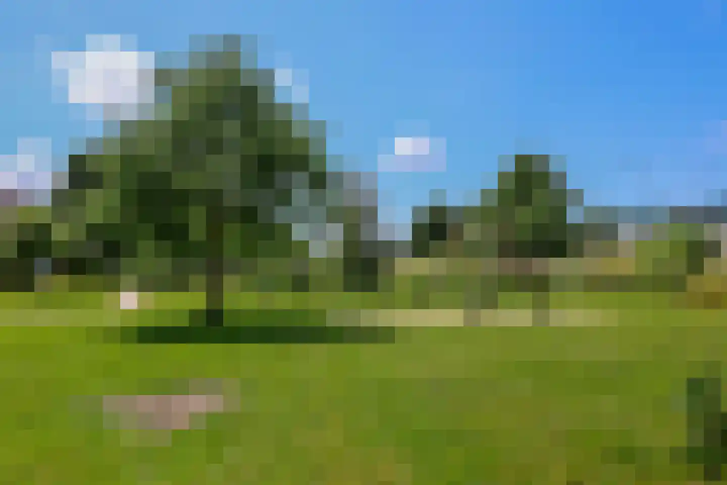 Goofystraat 6 Almere thumbnail 56