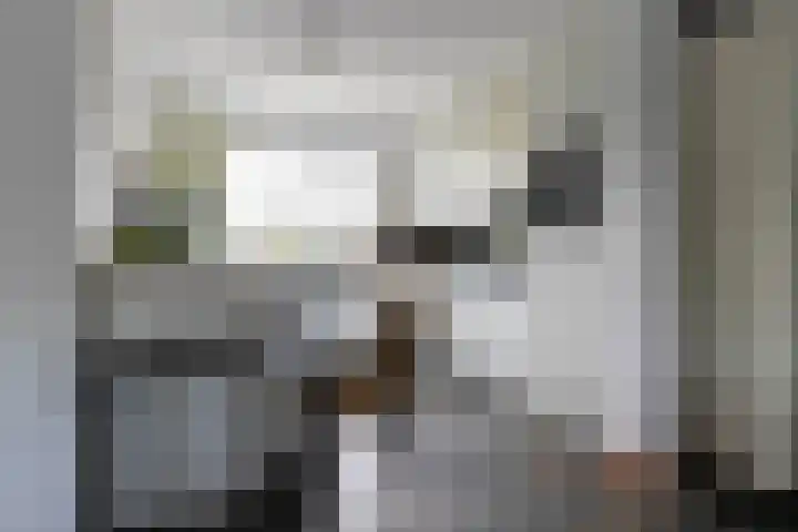 Googstraat 16 Oude Wetering thumbnail 13