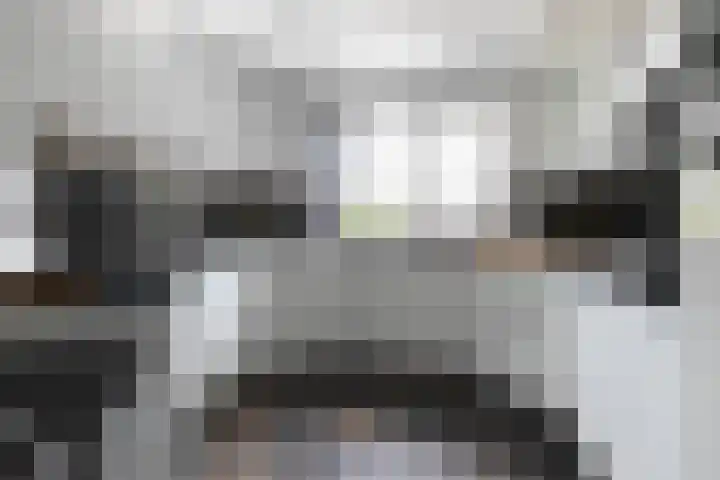 Googstraat 16 Oude Wetering thumbnail 14