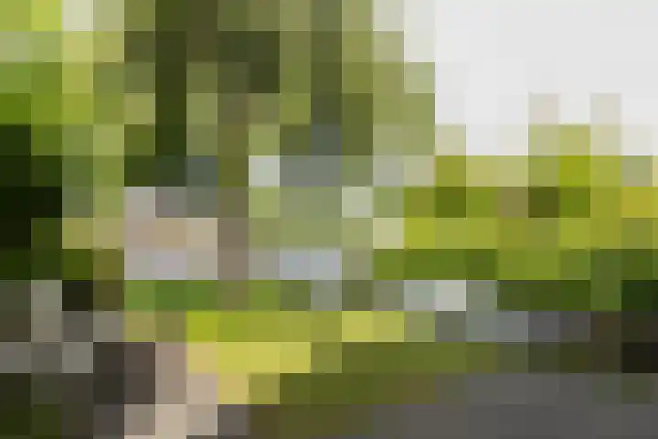 Googstraat 16 Oude Wetering thumbnail 17
