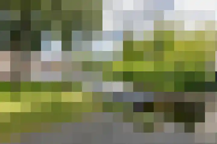 Googstraat 16 Oude Wetering thumbnail 18