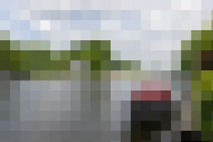 Googstraat 16 Oude Wetering thumbnail 19
