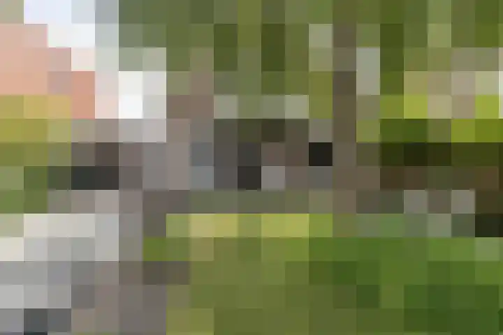 Googstraat 16 Oude Wetering thumbnail 20