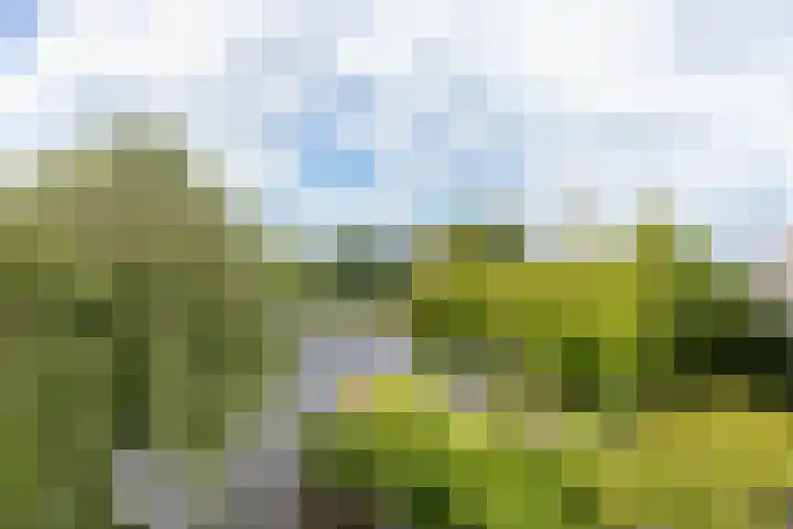 Googstraat 16 Oude Wetering thumbnail 28