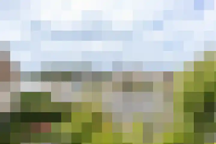 Googstraat 16 Oude Wetering thumbnail 29