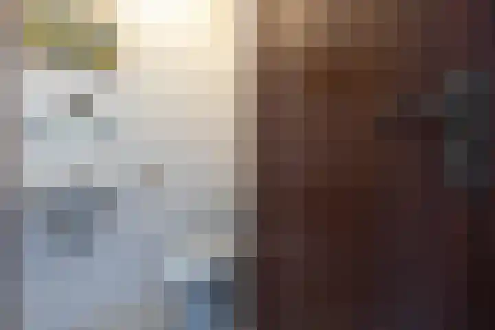 Googstraat 16 Oude Wetering thumbnail 40