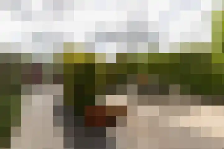 Googstraat 16 Oude Wetering thumbnail 41