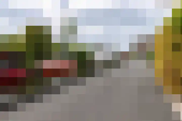 Googstraat 16 Oude Wetering thumbnail 42
