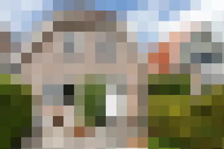 Googstraat 16 Oude Wetering thumbnail 6