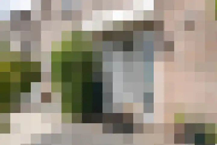 Googstraat 16 Oude Wetering thumbnail 7