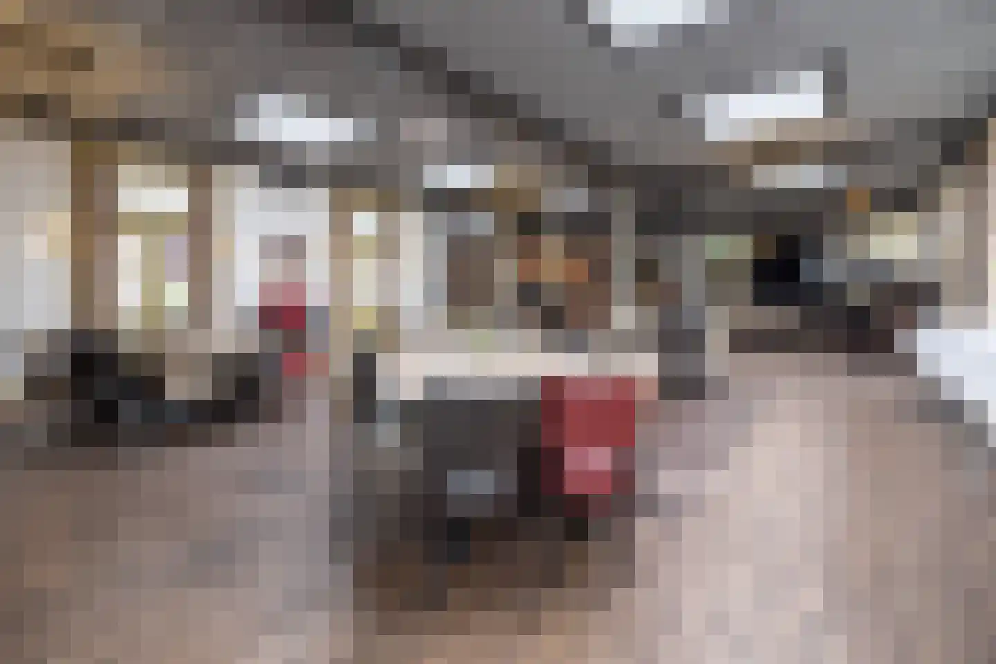 Googweg 1 Muiderberg thumbnail 14